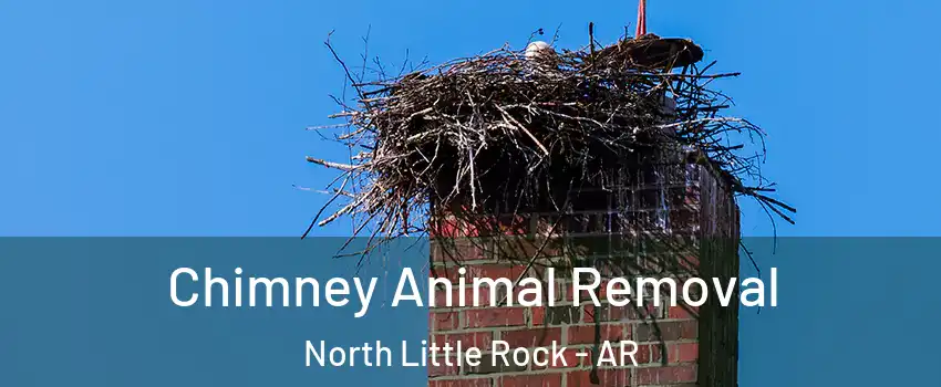 Chimney Animal Removal North Little Rock - AR