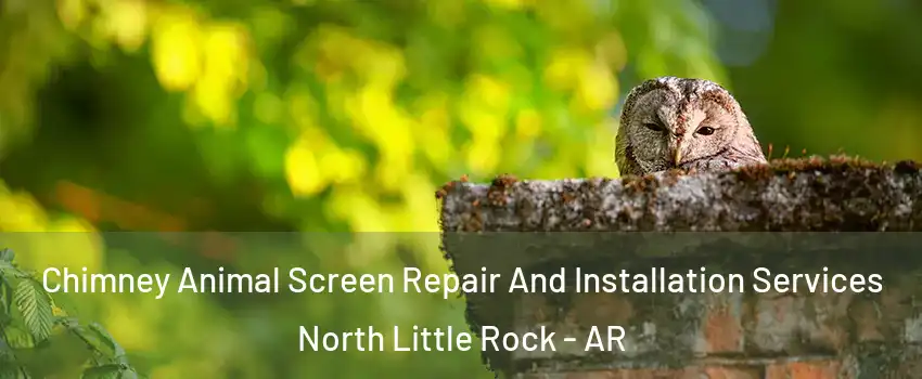  Chimney Animal Screen Repair And Installation Services North Little Rock - AR