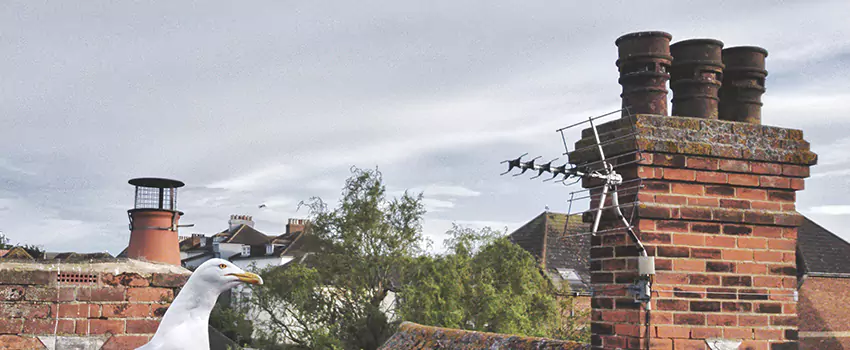 Chimney Cleaning And Restoration in North Little Rock, Arkansas